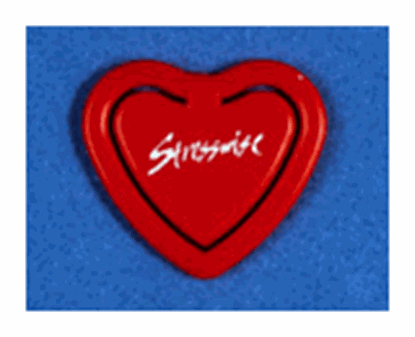 Picture of Red plastic Stresswise Heart Paperclip